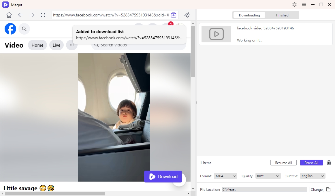 add fb video to mp4 download list