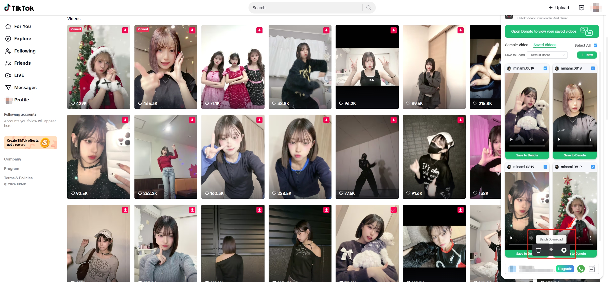 batch download tiktok videos with ttnote