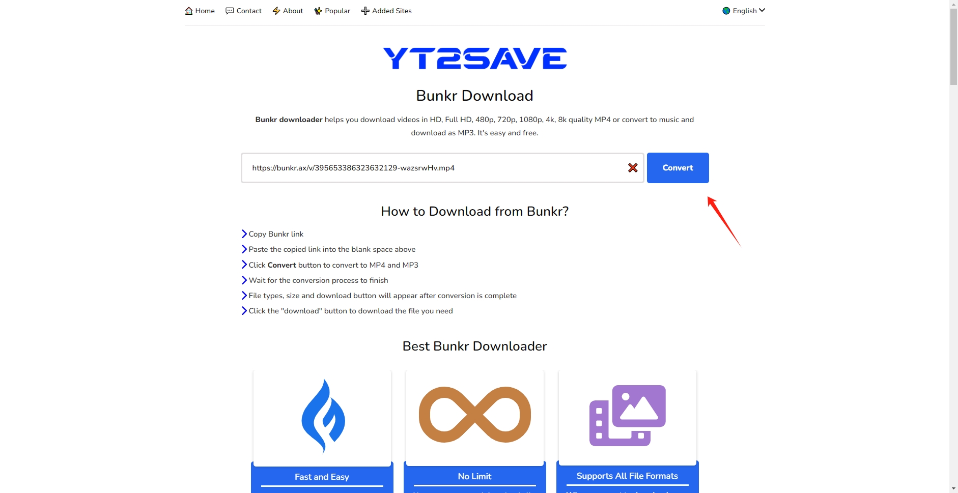 Laden Sie Bunkr mit dem Online-Downloader herunter