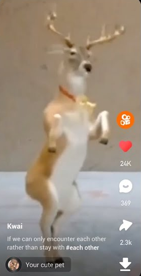 download kuaishou videos directly on mobile device