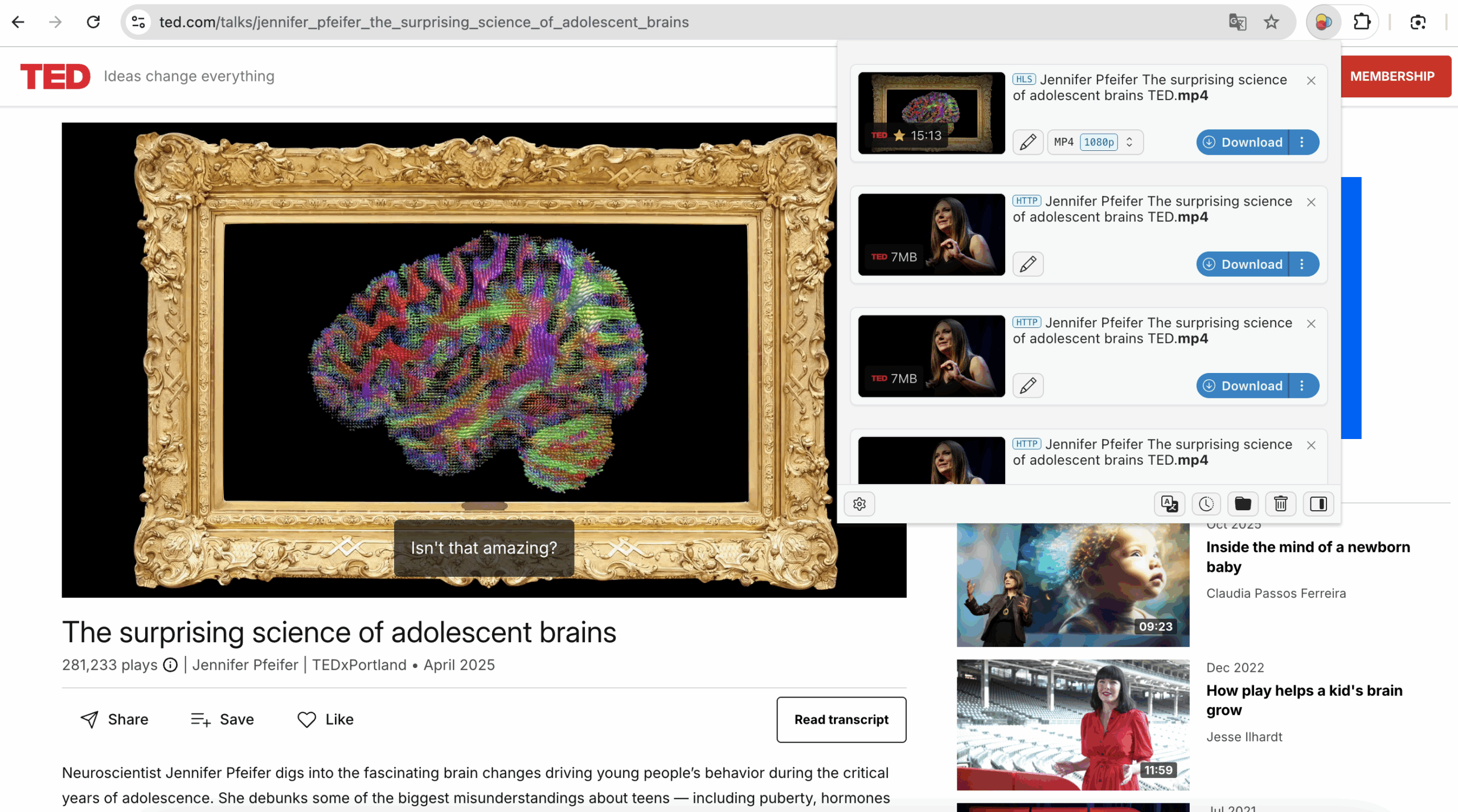 download ted talks with extension