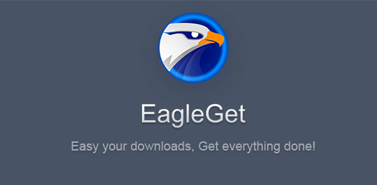 eagleget downloader