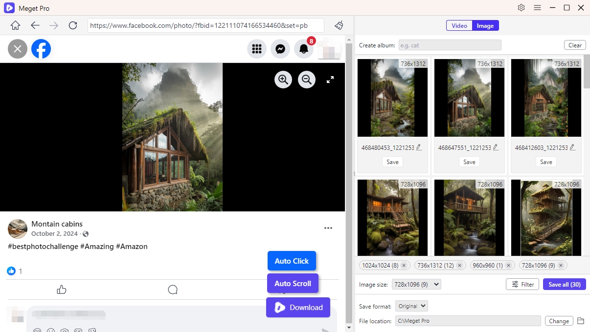 meget bulk download facebook photos