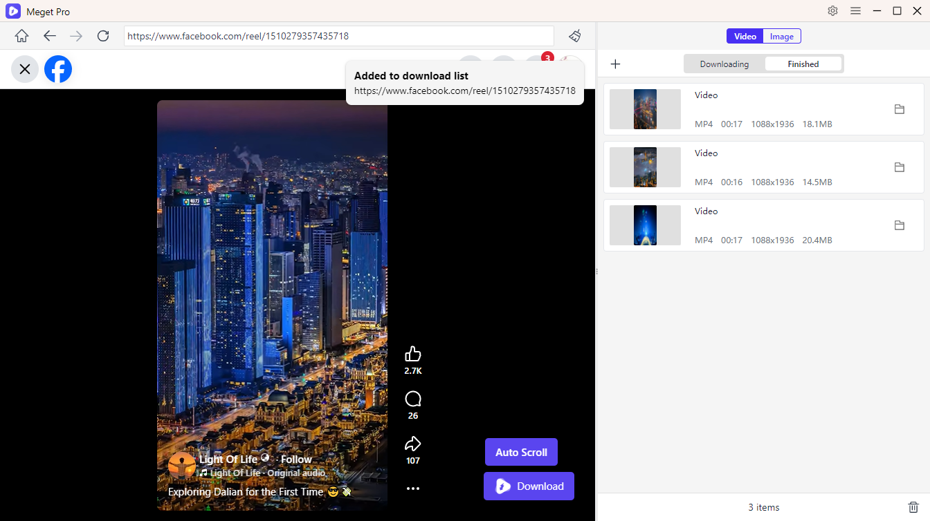 meget pro bulk download videos