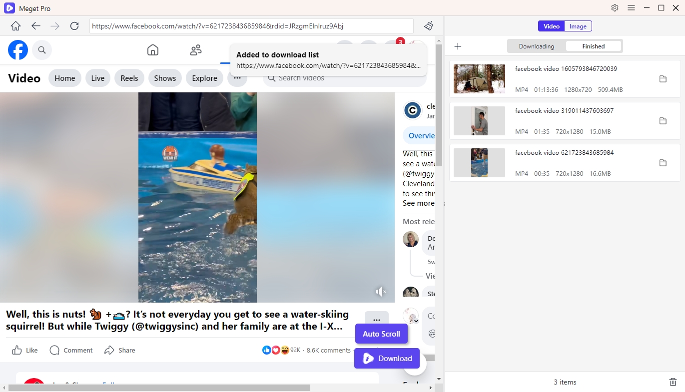 sehr professioneller Download von FB-Videos