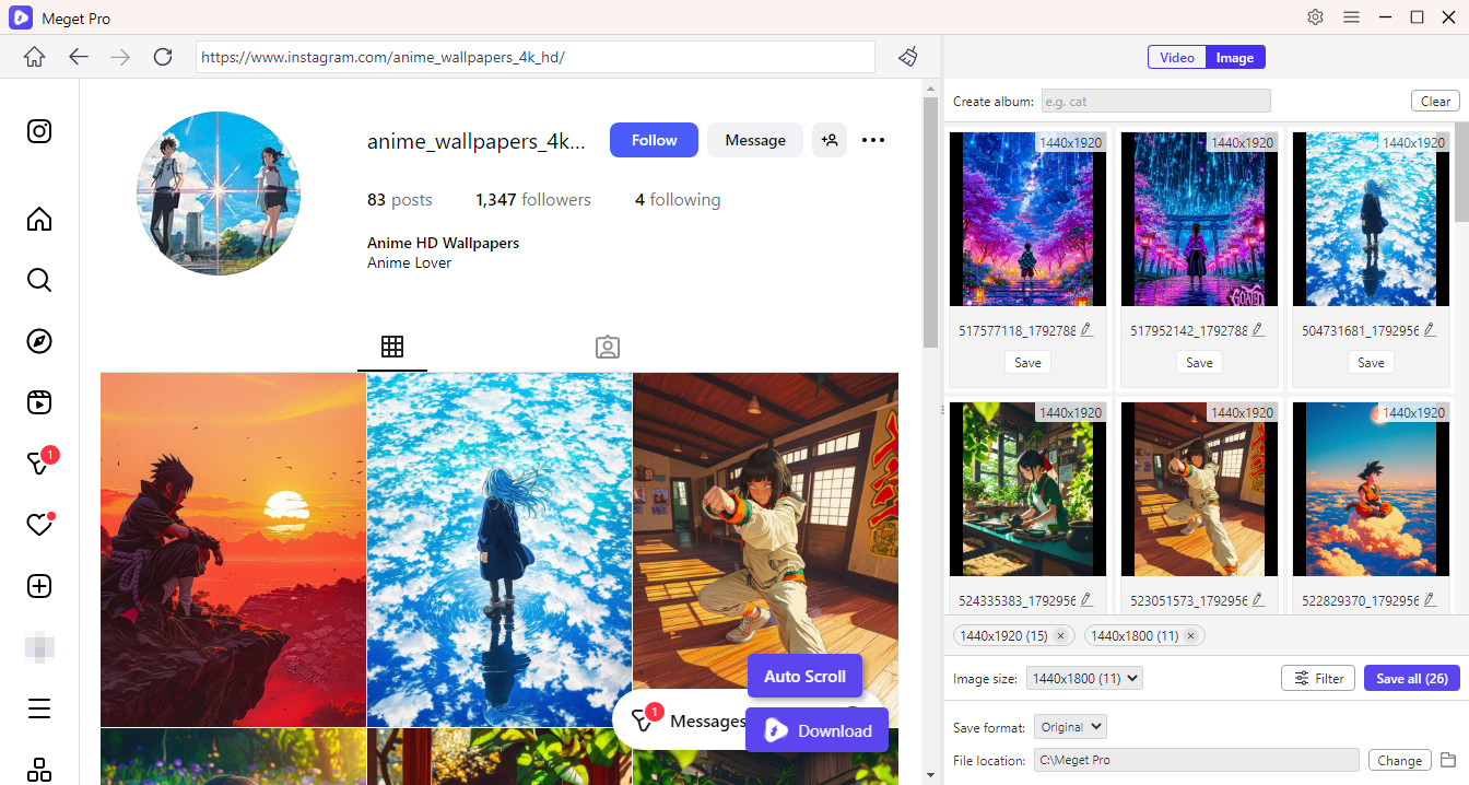 sehr professionell beim Herunterladen von Instagram-Fotos
