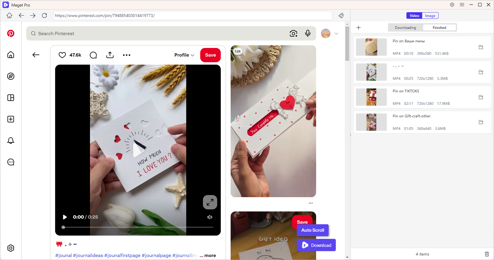 meget pro download pinterest videos