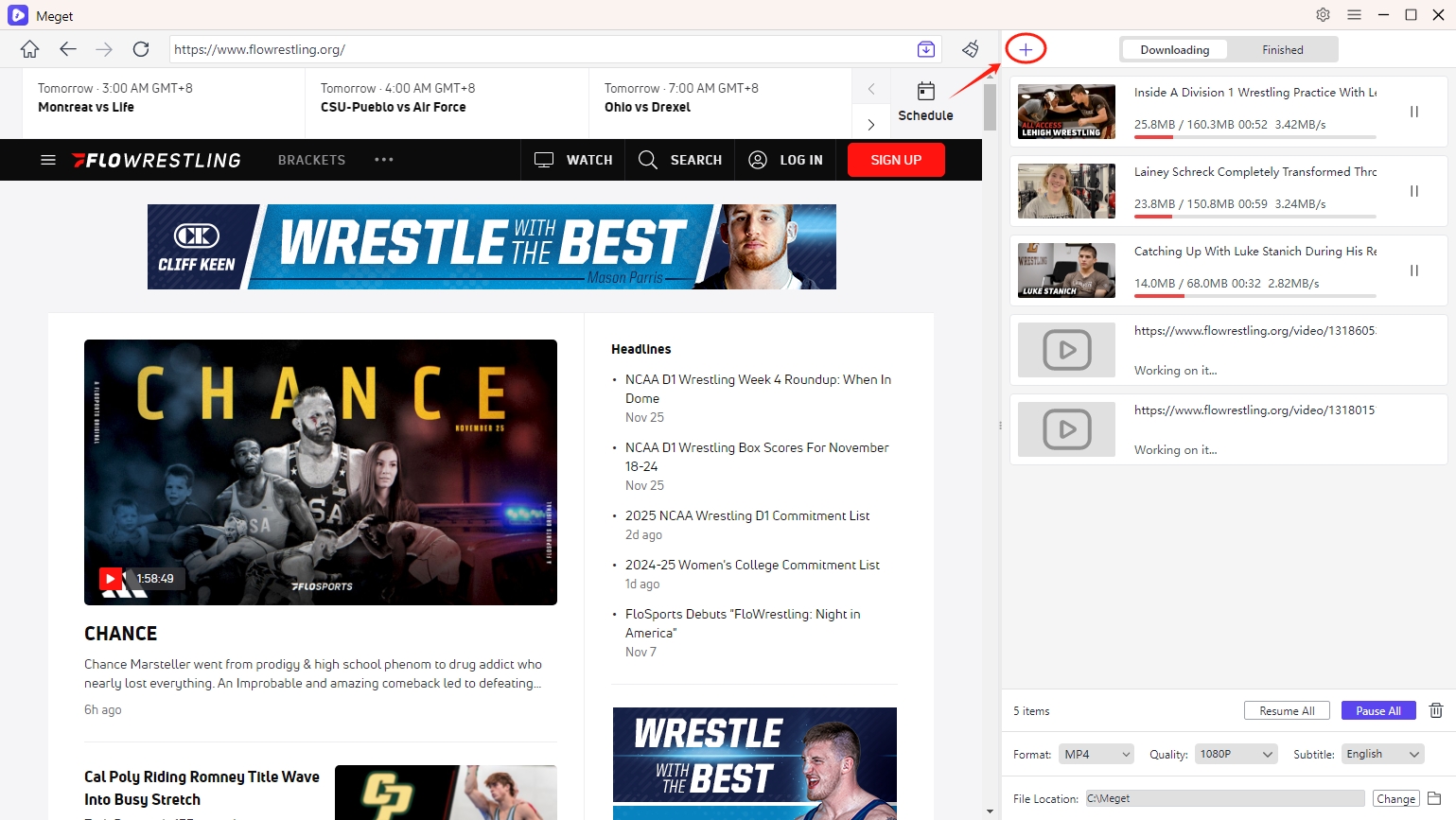 paste flowrestling urls to download videos