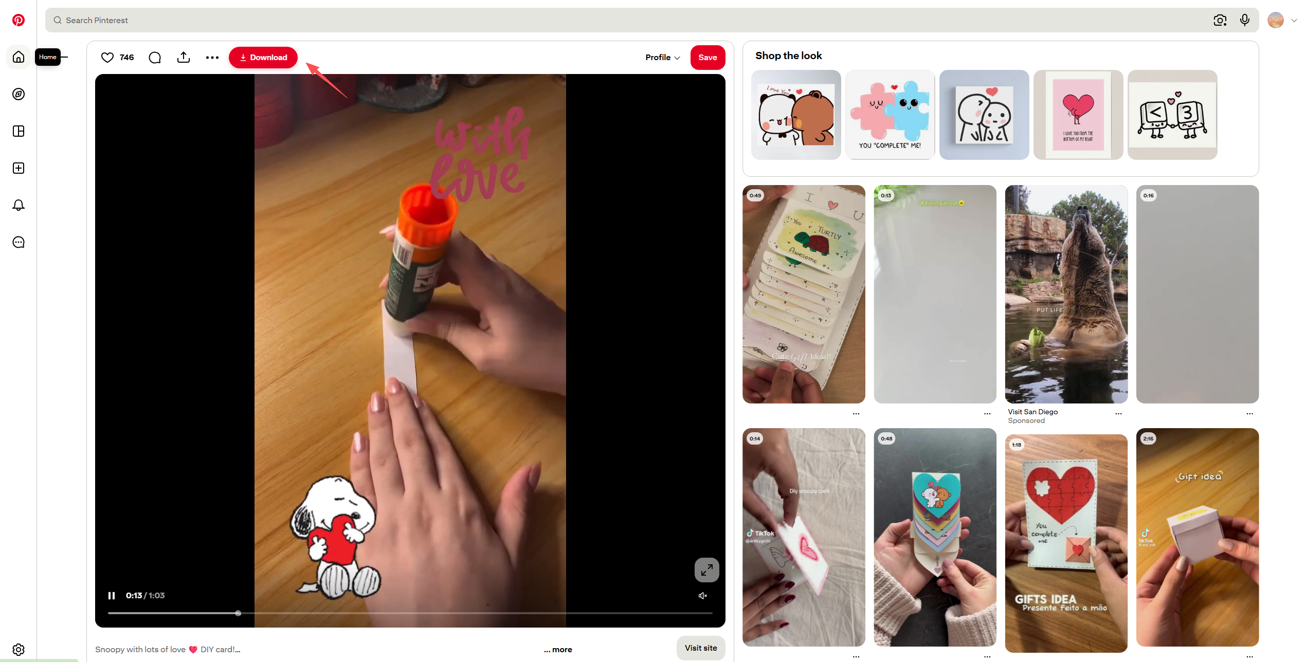 pinload download pinterest video