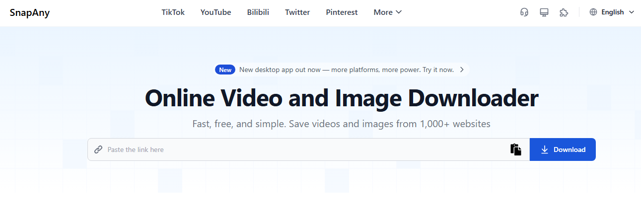 snapany online downloader